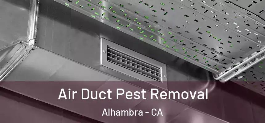 Air Duct Pest Removal Alhambra - CA