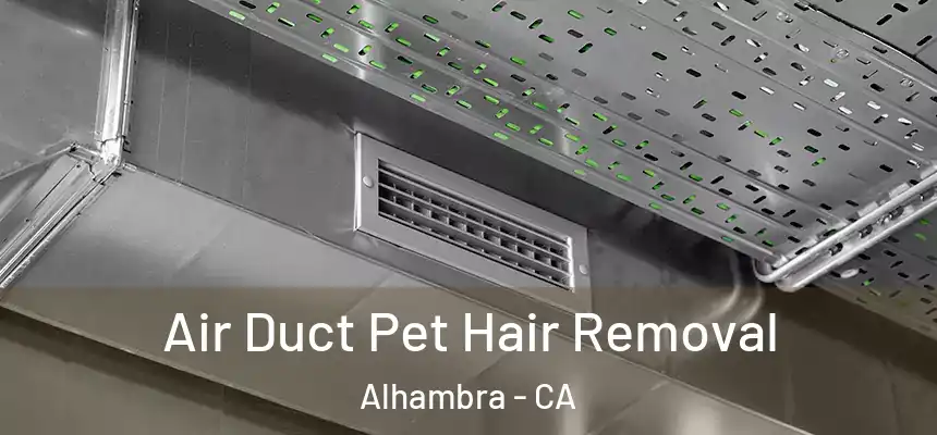 Air Duct Pet Hair Removal Alhambra - CA