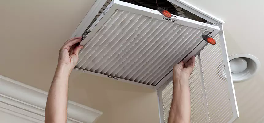 Preventive Cockroach-Proofing for Ducts in Alhambra