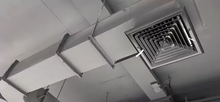 Restorative Allergy Relief Vent Cleaning – Coil, Blower & Housing Detail in Alhambra