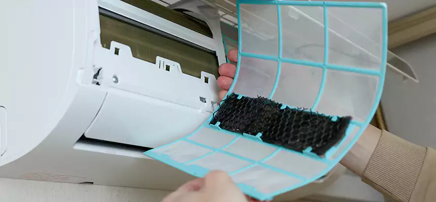 Gentle Ductwork Odor-Control Pet Dander Duct Cleaning in Alhambra, CA