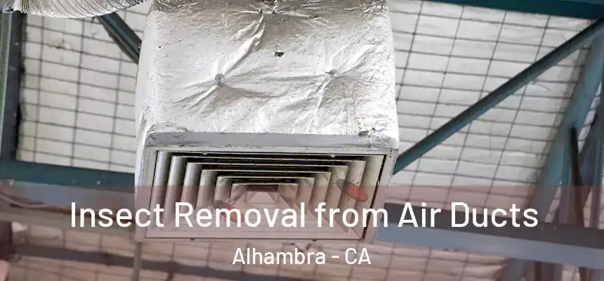 Insect Removal from Air Ducts Alhambra - CA