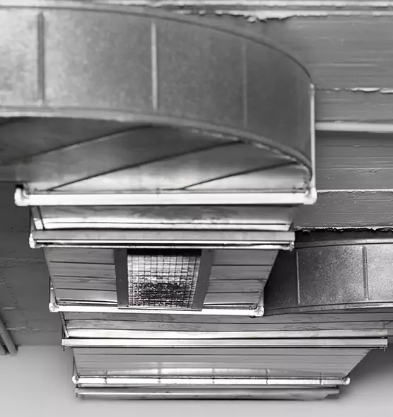 Professional Air Duct Pet Hair Removal in Alhambra, CA