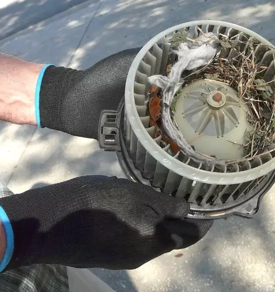 About Air Duct Rat Removal in Alhambra, CA